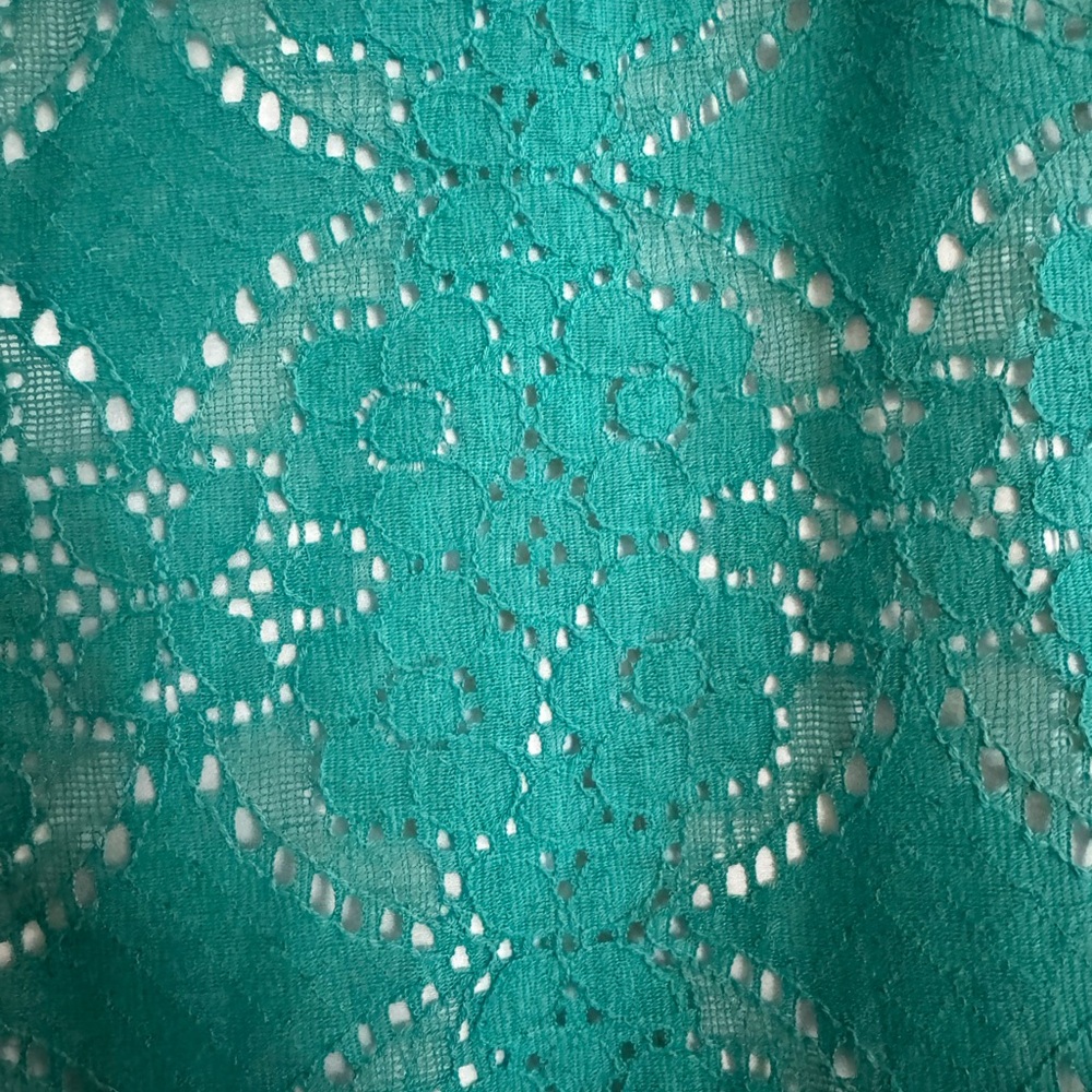 NWT Adrianna Papell lace overlay dress - green/teal and cream, size 12 - Picture 5 of 6